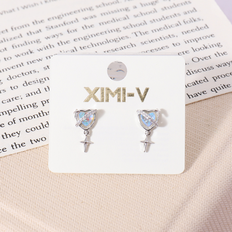 أقراط تثبيت مطلية بالفضة للسيدات الأنيقات #02